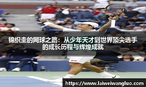 星空体育官网